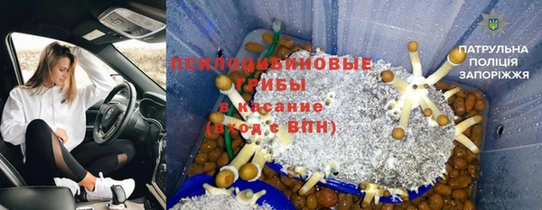 мдма Богданович