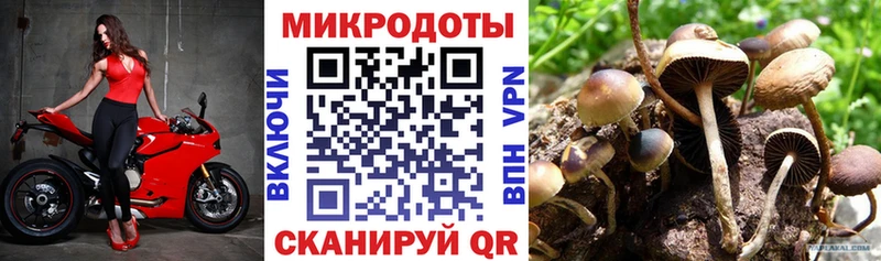 купить  цена  Когалым  Псилоцибиновые грибы Cubensis 